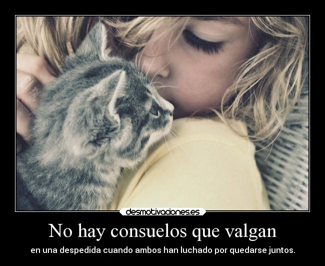 No hay consuelos que valgan - en una despedida cuando ambos han luchado por quedarse juntos.