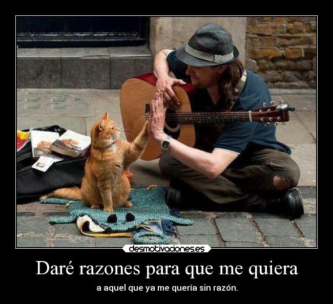 Daré razones para que me quiera - a aquel que ya me quería sin razón.