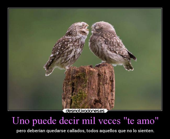 Uno puede decir mil veces te amo - pero deberían quedarse callados, todos aquellos que no lo sienten.