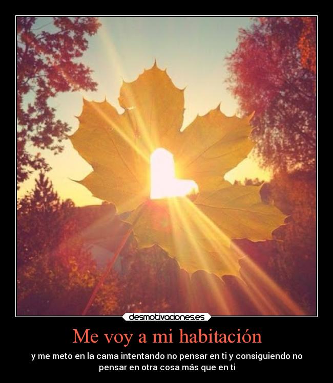 Me voy a mi habitación - y me meto en la cama intentando no pensar en ti y consiguiendo no
pensar en otra cosa más que en ti