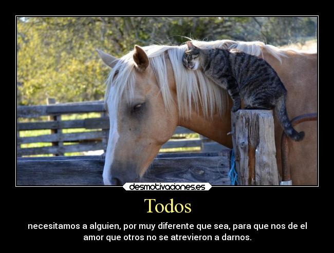 carteles amor necesitar diferente todos ser otro dar atrever desmotivaciones