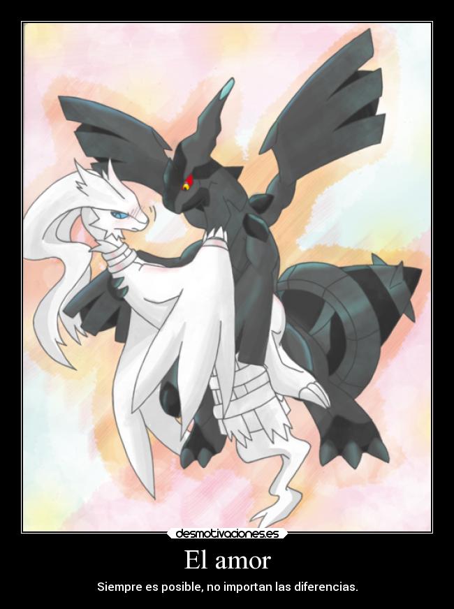 carteles amor pokemon amor reshiram zekrom colorlessshipping desmotivaciones