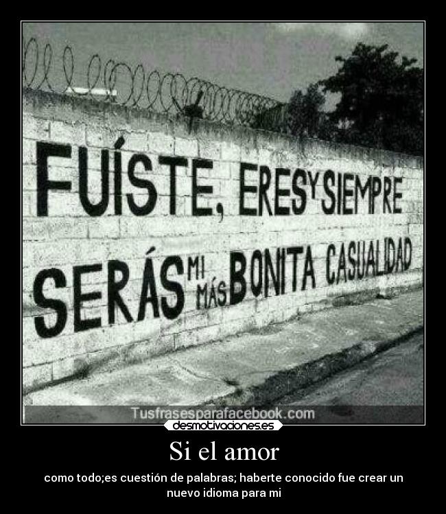 Si el amor - como todo;es cuestión de palabras; haberte conocido fue crear un
nuevo idioma para mi