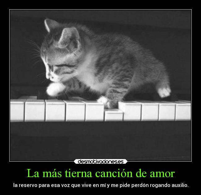 carteles amor vida amor musica cancion perdoname encontrare aguna letra acorde para eel arrepentimiento teamoo desmotivaciones