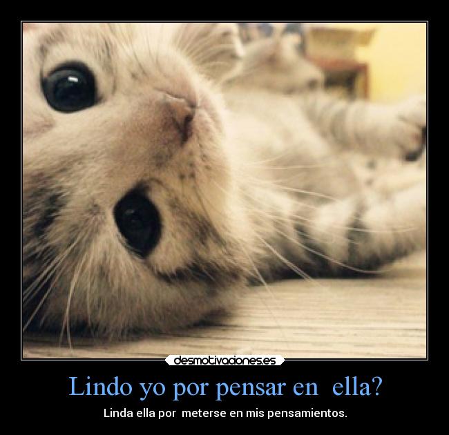 carteles amor zarcortgameeeeeee desmotivaciones