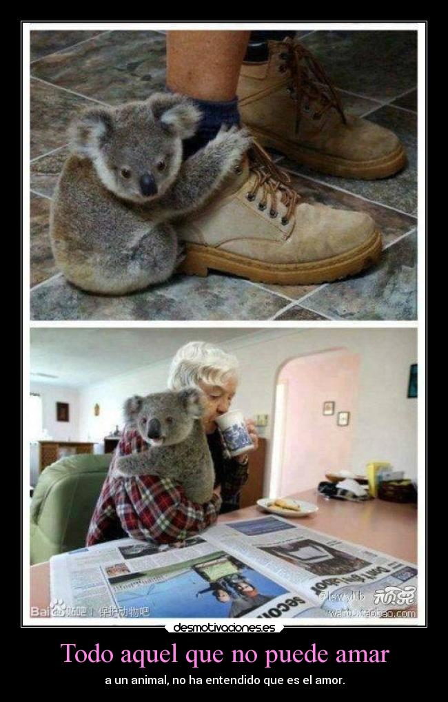 Todo aquel que no puede amar -