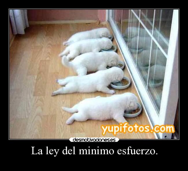 La ley del minimo esfuerzo. -