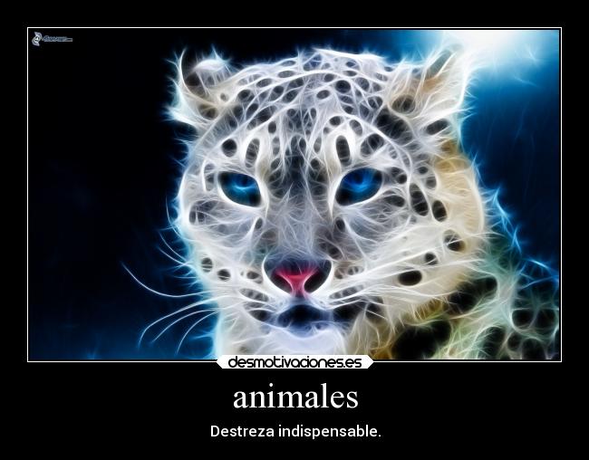 animales - 