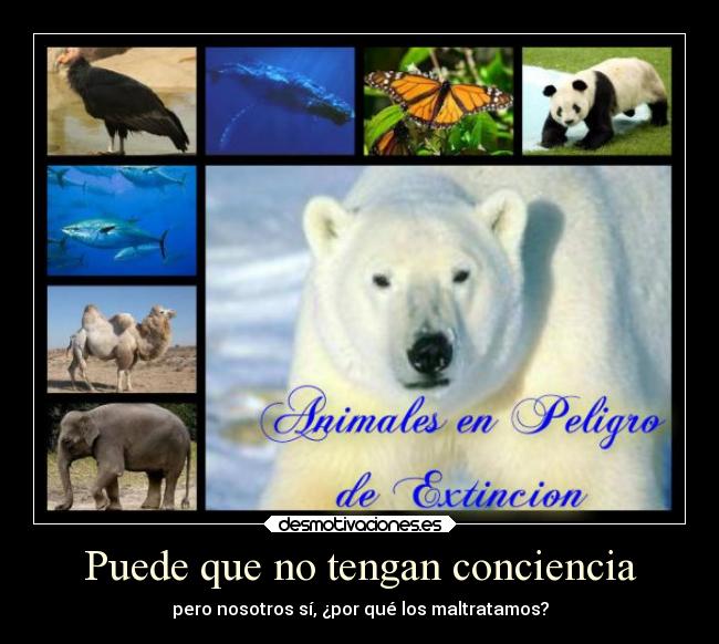 carteles animales desmotivaciones
