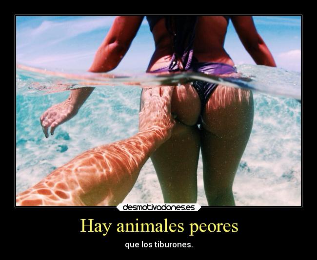 Hay animales peores -