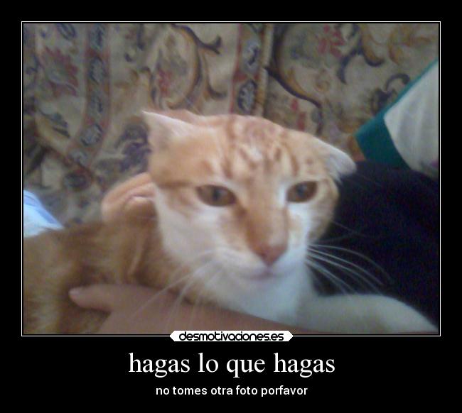 hagas lo que hagas - no tomes otra foto porfavor