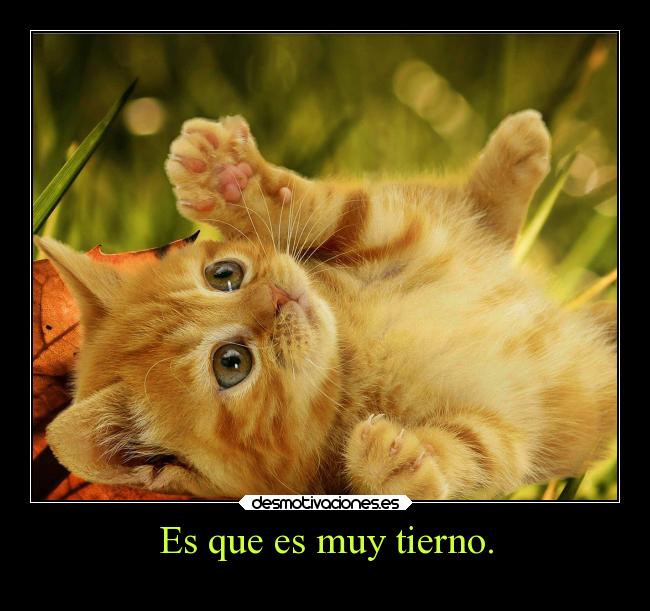 Es que es muy tierno. -