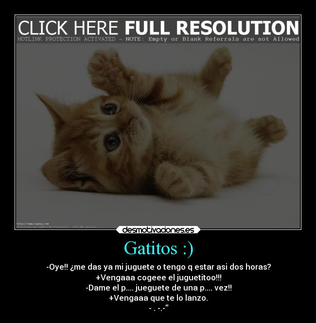 Gatitos :) - -Oye!! ¿me das ya mi juguete o tengo q estar asi dos horas?
+Vengaaa cogeee el juguetitoo!!!
-Dame el p.... jueguete de una p.... vez!!
+Vengaaa que te lo lanzo.
- . -.-