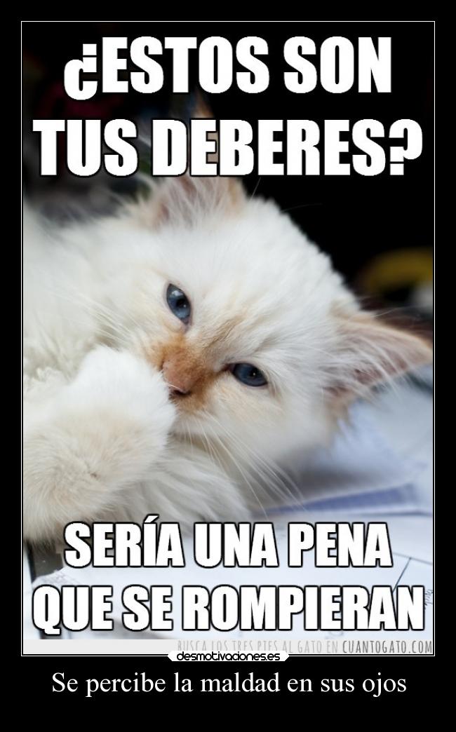 Se percibe la maldad en sus ojos -