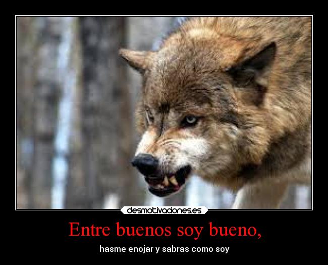 carteles animales desmotivaciones