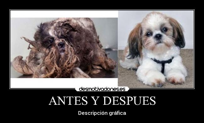 ANTES Y DESPUES - Descripción gráfica