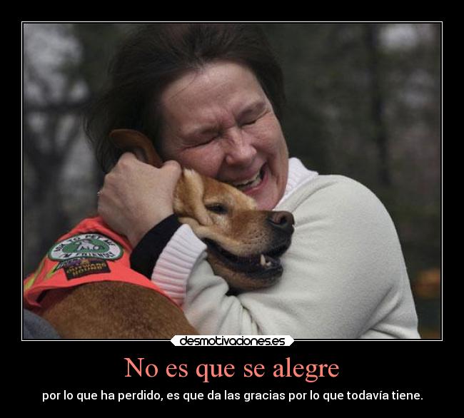 No es que se alegre -