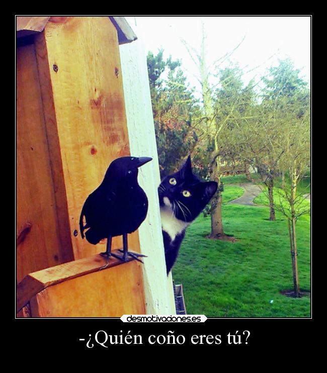 -¿Quién coño eres tú? -