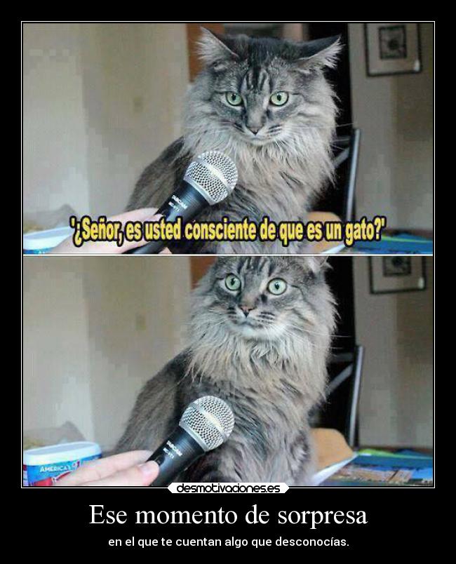 Ese momento de sorpresa - 