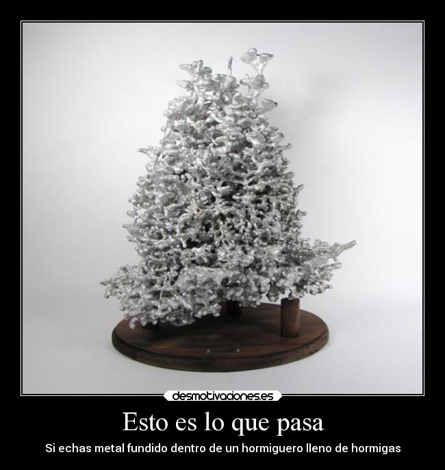 Esto es lo que pasa -