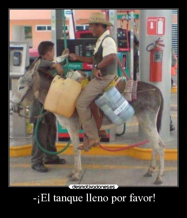 carteles animales humor burros breathebreathe wisdom ejercitodemar desmotivaciones