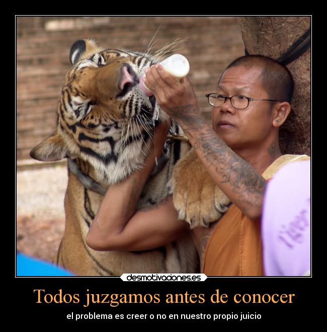 carteles animales juicio tatuaje monje hardcore desmotivaciones