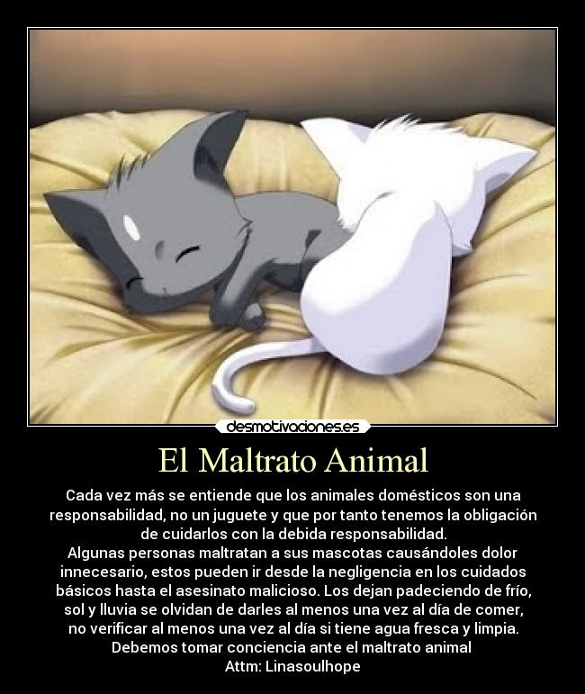 El Maltrato Animal -