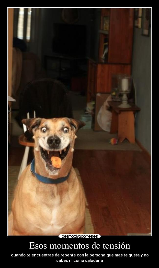 Esos momentos de tensión - cuando te encuentras de repente con la persona que mas te gusta y no
sabes ni como saludarla