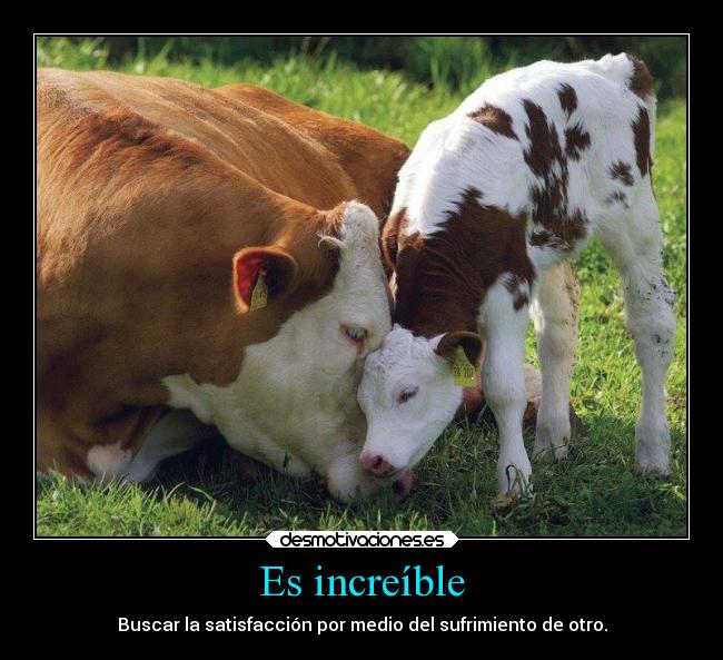 carteles animales sufimiento yitoxuchihayitoxuchihayitoxuchihayitoxuchihayitox soyunidiotatm desmotivaciones