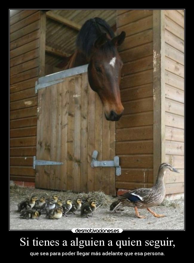 Si tienes a alguien a quien seguir, - que sea para poder llegar más adelante que esa persona.