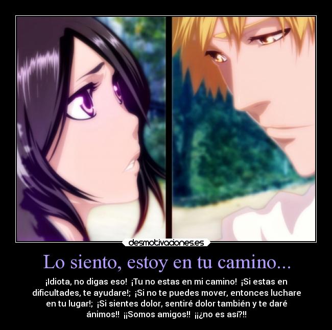 Lo siento, estoy en tu camino... - ¡Idiota, no digas eso!  ¡Tu no estas en mi camino!  ¡Si estas en
dificultades, te ayudare!;  ¡Si no te puedes mover, entonces luchare
en tu lugar!;  ¡Si sientes dolor, sentiré dolor también y te daré
ánimos!!  ¡¡Somos amigos!!  ¡¡¿no es así?!!