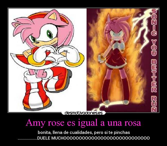 carteles anime amy rose desmotivaciones