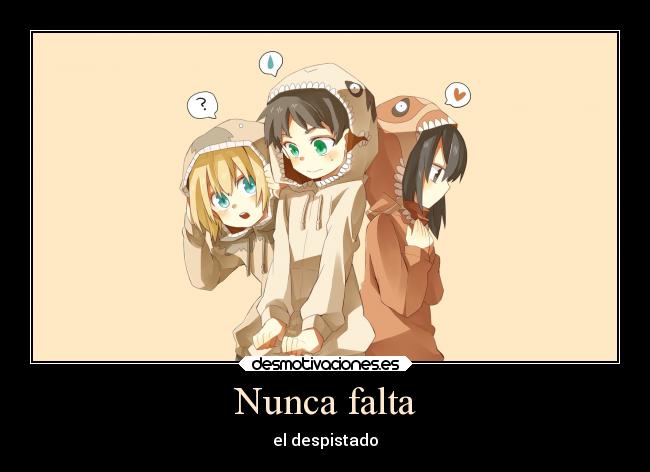 Nunca falta - el despistado