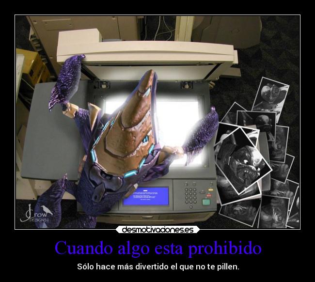 carteles anime halo grunt spacedemon tags extranos willy nuestroque estas enlos server equisdedededededed desmotivaciones