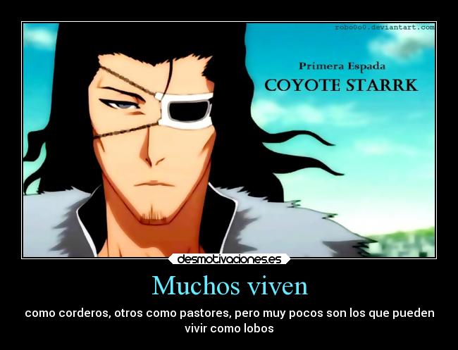 carteles anime tixo coyote starrk desmotivaciones
