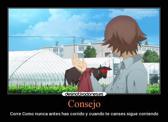 Consejo - Corre Como nunca antes has corrido y cuando te canses sigue corriendo