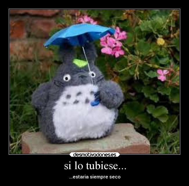 carteles anime totoro desmotivaciones