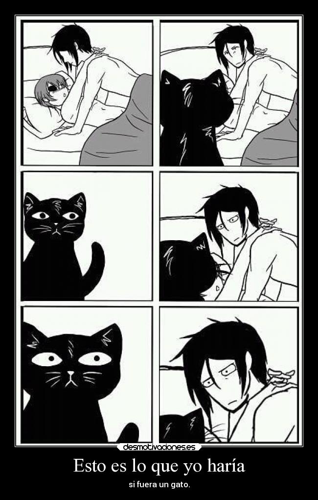 Esto es lo que yo haría - si fuera un gato.