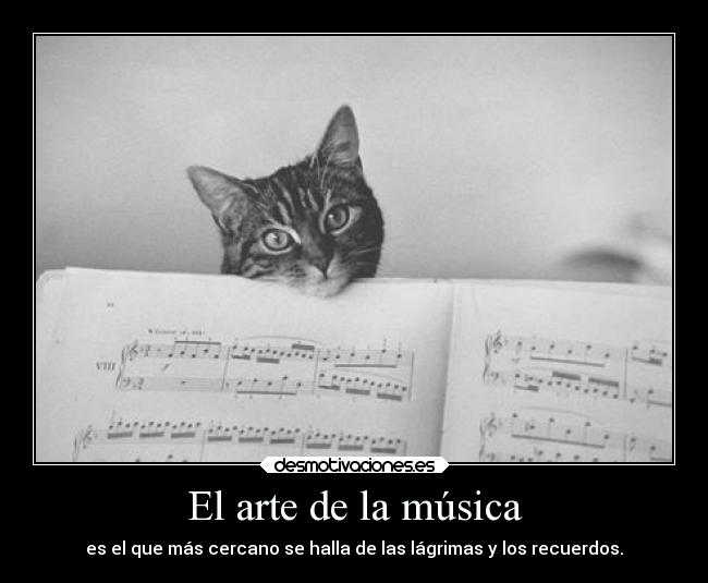 carteles arte musica arte gatos llorar recuerdos sentimientos musica desmotivaciones