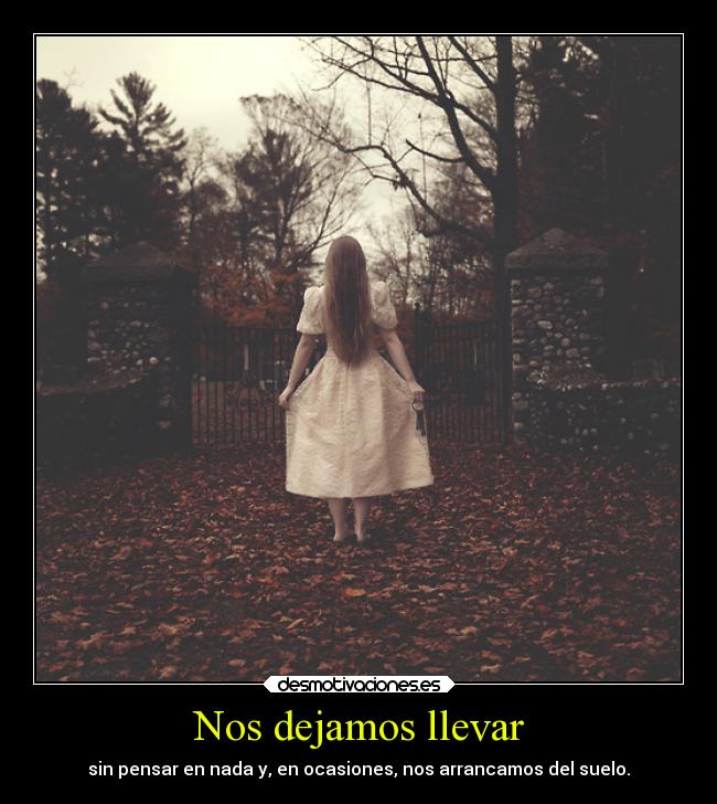 Nos dejamos llevar - 