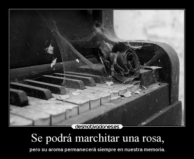Se podrá marchitar una rosa, -