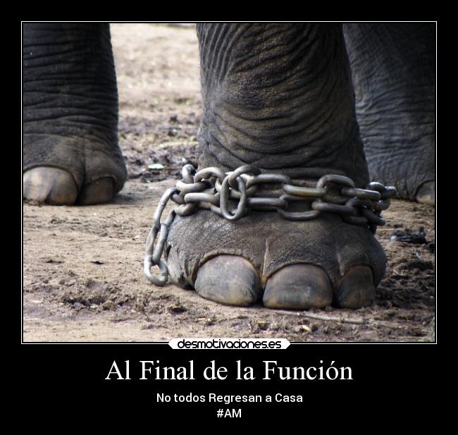 Al Final de la Función - 