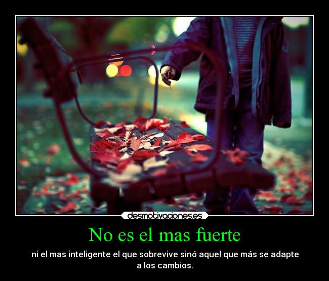 No es el mas fuerte - ni el mas inteligente el que sobrevive sinó aquel que más se adapte
a los cambios.