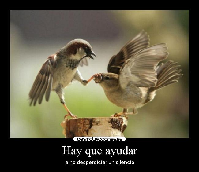 Hay que ayudar - a no desperdiciar un silencio