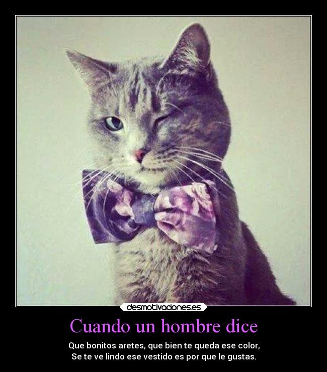 carteles besos enamorados desmotivaciones