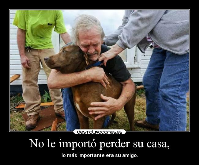 carteles casa felicidad amigos desmotivaciones