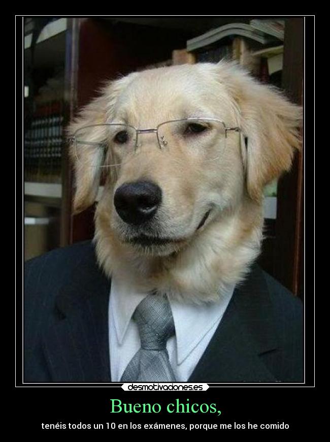 Bueno chicos, -