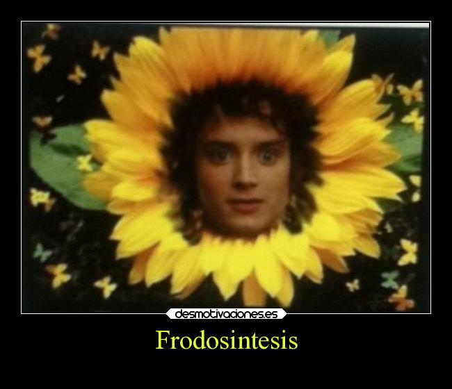 Frodosintesis - 