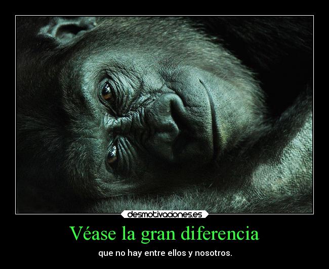 Véase la gran diferencia - que no hay entre ellos y nosotros.