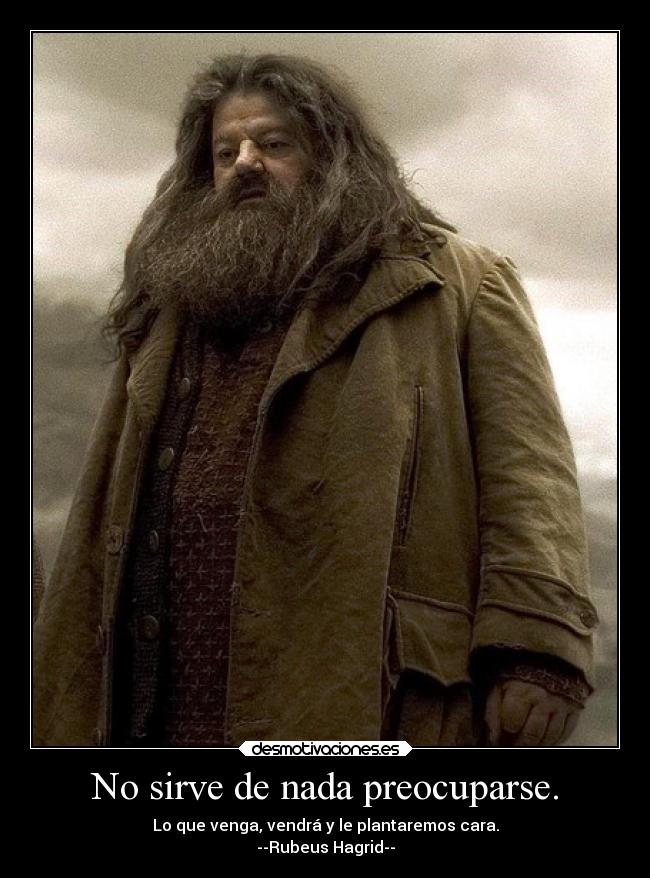 No sirve de nada preocuparse. - Lo que venga, vendrá y le plantaremos cara.
--Rubeus Hagrid--
